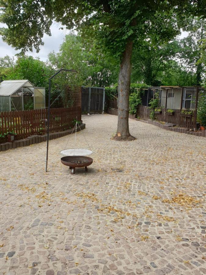 Ferienwohnung Lindenhof, Zentrumsnah Mit Terrasse Und Grillmoeglichkeit Magdeburg Eksteriør bilde